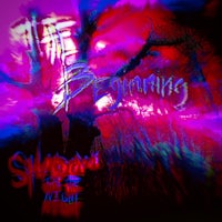 the shadows of the night - cover art